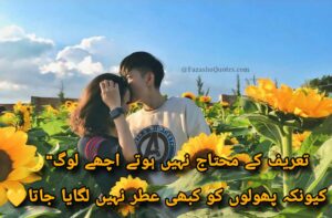 Love Poetry - Best Urdu Love Romantic Poetry