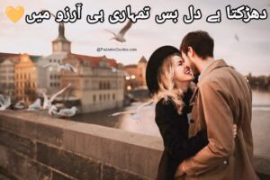 Read more about the article Best Romantic Poetry In urdu Language 2024-2025