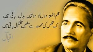 Allama Iqbal Poetry In Poetry