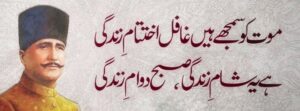 Allama Iqbal Poetry In Poetry