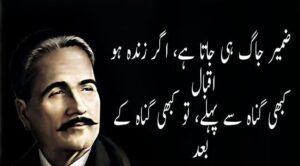 Allama Iqbal Poetry In Poetry