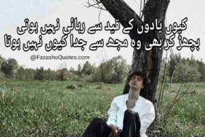 Sad poetry in Urdu