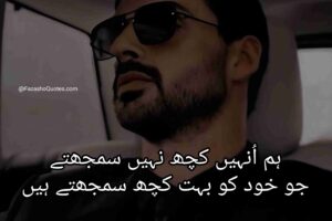 Best Attitude Poetry In Urdu