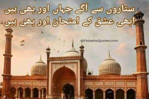 Read more about the article Best 10 Allama Iqbal Poetry Urdu