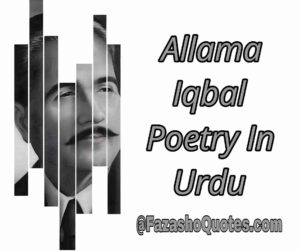 Read more about the article Best Allama Iqbal Poetry In Urdu 2024-2025