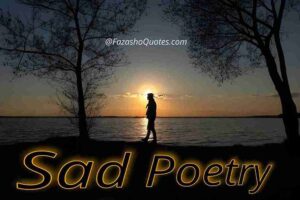 Read more about the article Best Sad Poetry In Urdu 2024-2025