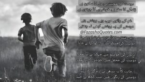 Friendship Poetry In Urdu 