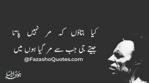 John Elia Urdu Poetry