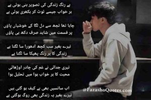 Sorry Poetry In urdu